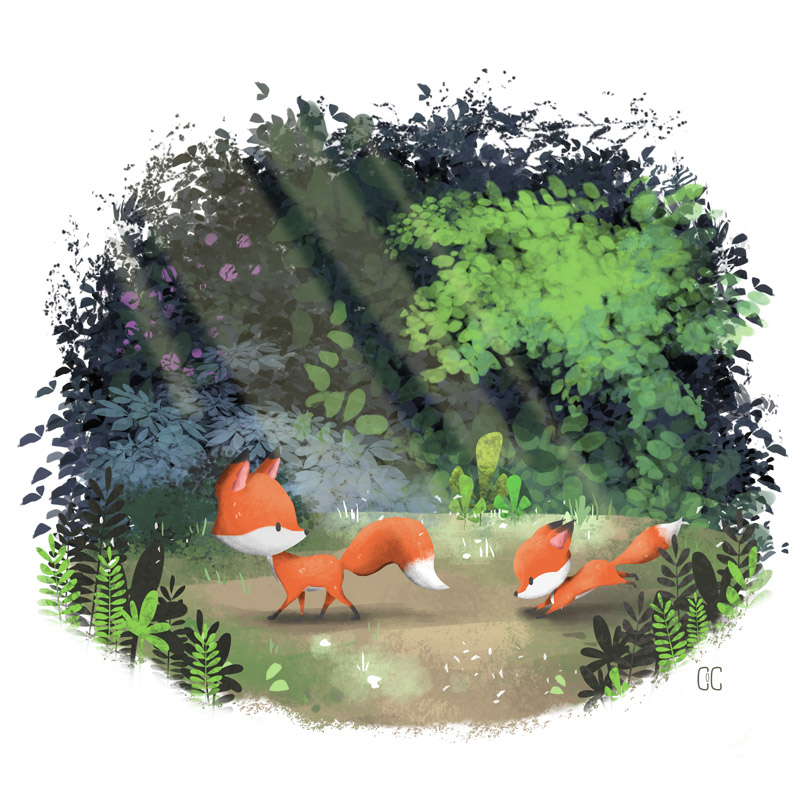 FOXES