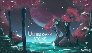 UNDISCOVER STONE